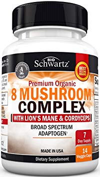 Premium Mushroom Supplement Sample