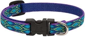 LupinePet Originals 1/2" Rain Song 10-16" Adjustable Collar for Small Dogs