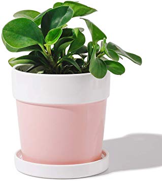 POTEY Plant Flower Pot Ceramic Planters - 4.6" Round Container Indoor Garden Glazed Container Colorful with Drainage Hole Saucer - Pink