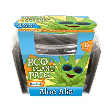 Dunecraft Aloe Alin Eco Plant Pal Science Kit