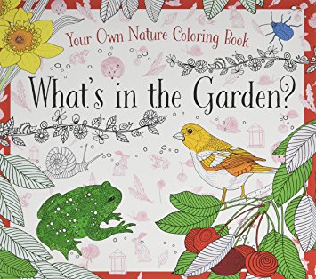 What's in the Garden? - Coloring Book