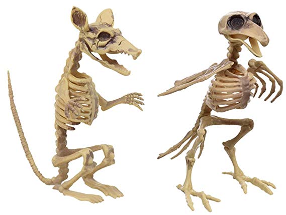 Nikki's Knick Knacks Rat and Bird Skeleton Halloween Decoration