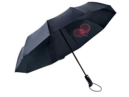 LIANLAM Umbrella Travel Mini Automatic,Windproof 10 Ribs,Fast Drying,Gift Box …