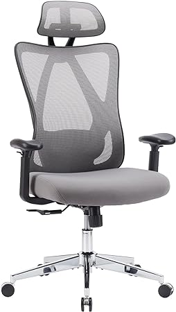 JHK Ergonomic High Back Desk, Computer Mesh Lumbar Support, Adjustable Headrest & 2D Armrest, Tilt Function Swivel Executive Chair for Office Meeting Room Gray, 20.66" x 20.66" x 46.25", Grey