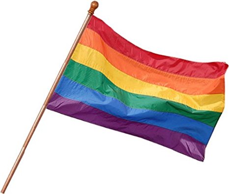 Gay Rainbow Sisters 18"x12" Rainbow Pride Flag