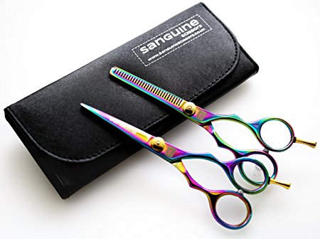 Titanium Hair Scissors AND Hair Thinning Scissors Set, 5.5 inch   Presentation Case/Box