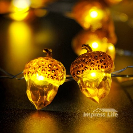 IMPRESS LIFE Acorn Rope Lights String on Copper Wire 10 ft 40 LEDs with Remote for Outdoor, indoor, Wedding, Spring, Summer, Fall, Baby Shower, Ice Age, Birthday Parties & DIY Home Decorations