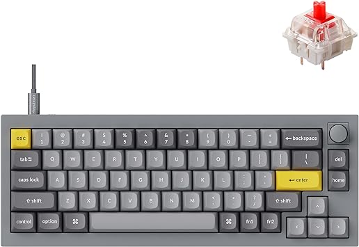 Keychron Q2 Wired Custom Mechanical Keyboard Knob Version, 65% Layout QMK/VIA Programmable Macro with Hot-swappable Gateron G Pro Red Switch Double Gasket Compatible with Mac Windows Linux (Grey)