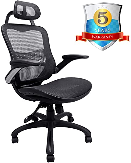 Ergousit High Back Ergonomic Office Chair Mesh Desk Chairs Adjustable Office Chair with Breathable Backrest, Headrest, Armrest and Seat Height for Conference Room (Black) (4748)