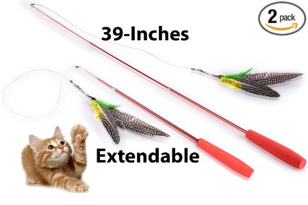 HiFlyr Cat Feather Toy - Cat Toy Wand - Teaser Toy for Cats Colors May Vary 2 PACK by VersaHome