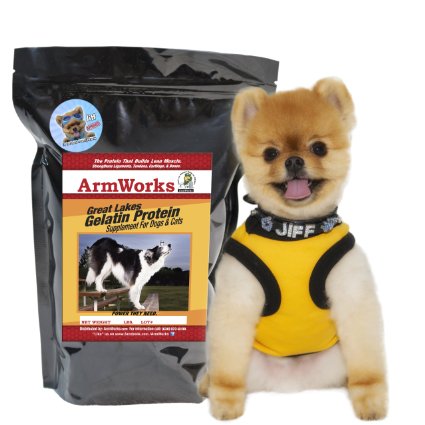 ArmWorks Great Lakes Gelatin Protein for Dogs & Cats 3 LB