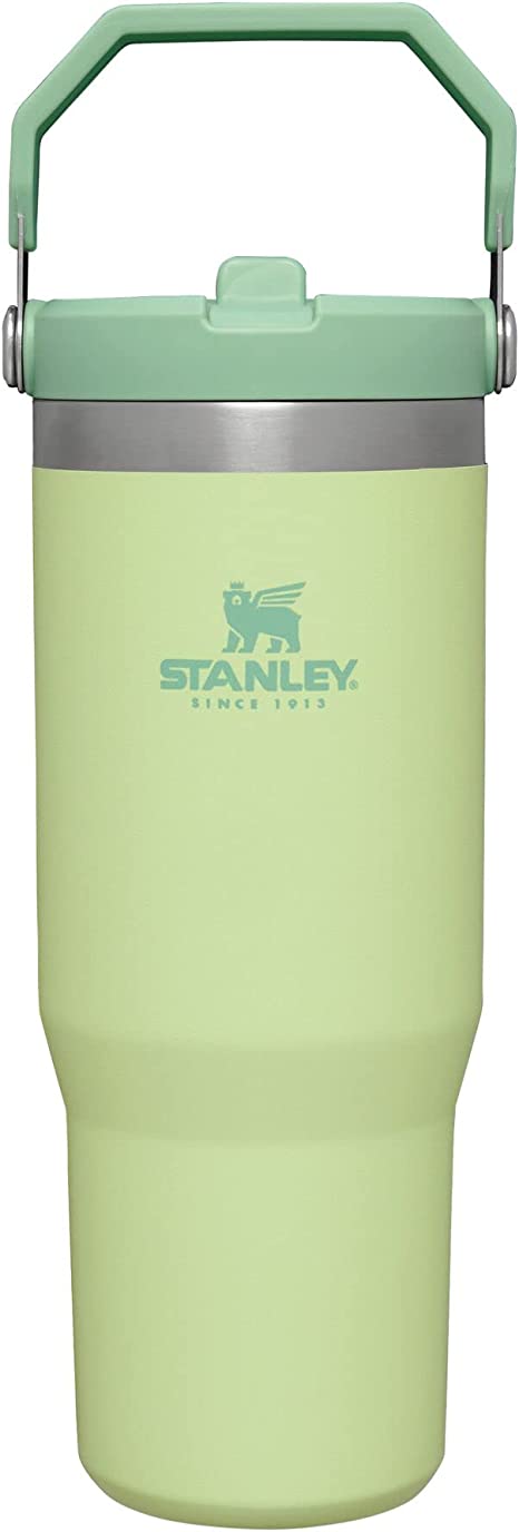 Stanley IceFlow Stainless Steel Tumbler with Straw - Vacuum Insulated Water Bottle for Home, Office or Car - Reusable Cup with Straw Leakproof Flip - Cold for 12 Hours or Iced for 2 Days (Citron)