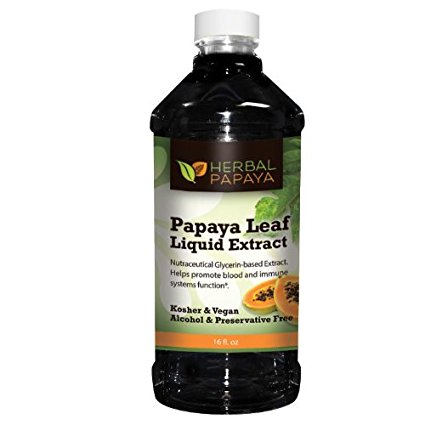Papaya Leaf (Pawpaw Twig Cell Regulator) Extract Liquid - 16oz, 100% Preservative and Alcohol Free By Herbal Papaya