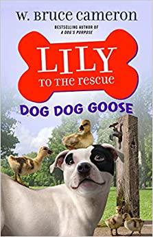 Lily to the Rescue: Dog Dog Goose (Lily to the Rescue!, 4)