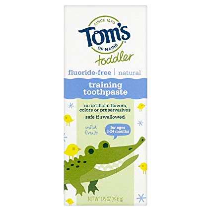 Tom's of Maine Toothpaste - Toddler Training - Natural - Fluoride Free - Mild Fruit - 1.75 oz - Case of 6