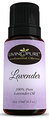 1 Lavender Essential Oil - Pure Lavender Oil by Living Pure Essential Oils - Aid Relaxation and Freshen Rooms - PUREST Lavender from Europe - 100 Organic Therapeutic and Aromatherapy Grade - 15ml