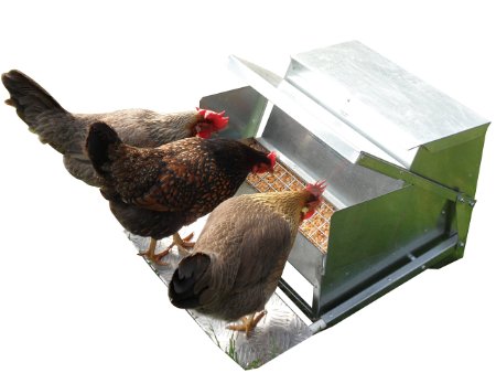 Grandpa's Feeders Automatic Chicken Feeder - Standard (20lb Feed Capacity)