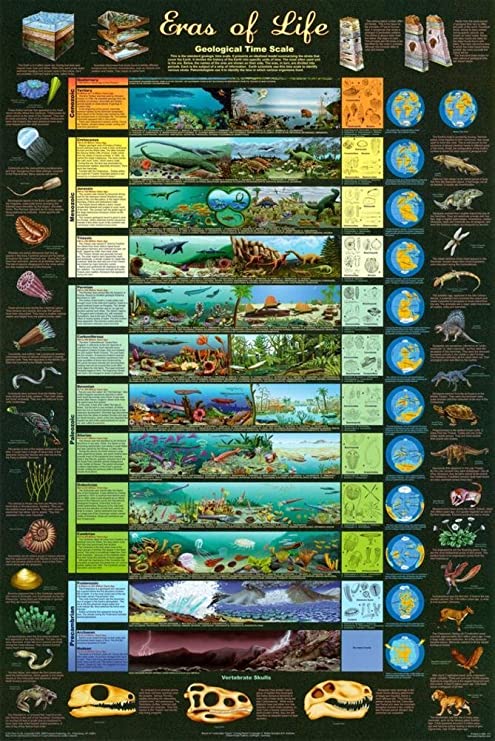 Laminated Eras of Life Geological Time Scale Educational Science Chart Poster 24 x 36