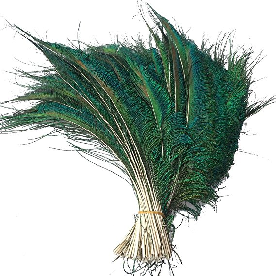 Sowder Natural Peacock Sword Feathers 10-15 Inches for Wedding Home Decoration Pcak of 100