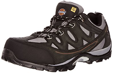 Dickies Men's Alford Safety Shoes