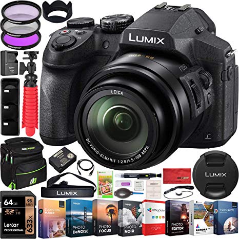 Panasonic Lumix FZ300 4K Point and Shoot Digital Camera with 24x Leica DC Vario-Elmarit 25-600mm Lens DMC-FZ300K Bundle with Deco Gear Bag Case   Filter Kit   Photo Video Software & Accessories