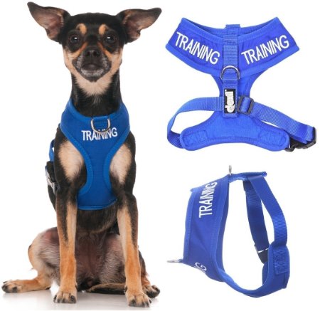 TRAINING (Dog In Training/Do Not Disturb) Blue Color Coded Non-Pull Front and Back D Ring Padded and Waterproof Vest Dog Harness PREVENTS Accidents By Warning Others Of Your Dog In Advance