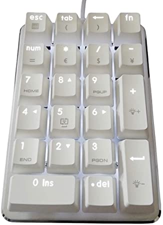 21 Keys White Backlit Mechanical Numeric Keypad USB Switch Free Financial Mini Numpad with Cherry Blue Switches for Notebook Desktop PC (Cherry Blue switches Keyboard)