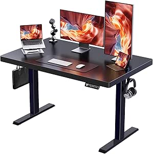 ErGear Whole Piece Standing Desk, 48x24 Inch Thick Adjustable Desk with 4 Height Memory, Electric Sit Stand Desk with Cable Management Tray, Ergonomic Desk for Home Office, Black, EGESD73B