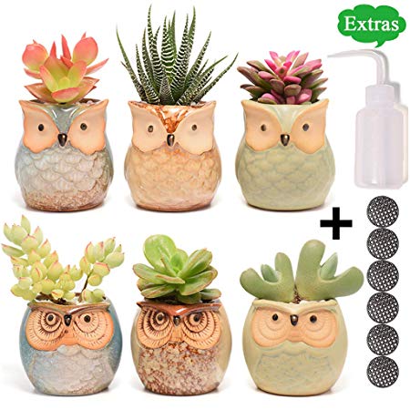 Succulent Planter, Cute Ceramic Owl Planters with Potting Tools, 2.5 Inch Small Flower Pot, Set of 6 Pots for Plants - Plants Excluded