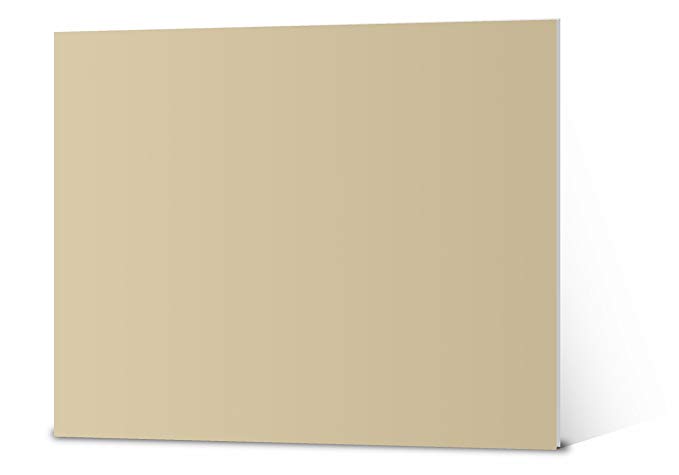 Elmer's Colored Foam Board , 20 x 30, Tan, 10-Pack (950058)