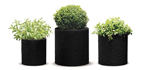 Keter 238672 3 Piece Cylinder Rattan Plastic Planter, Charcoal Grey