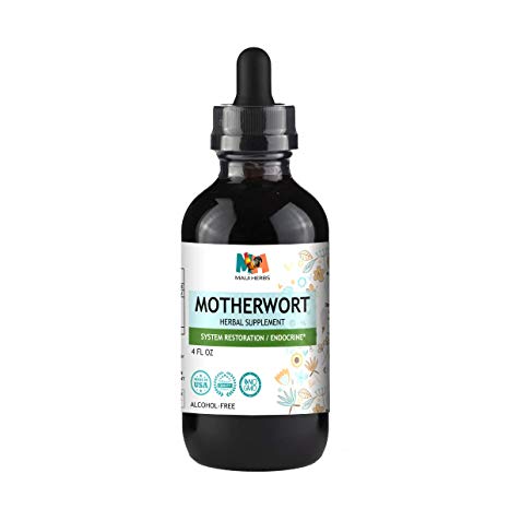 Motherwort Tincture Alcohol-Free Liquid Extract, Organic Motherwort Herb (Leonurus Cardiaca) (4 FL OZ)