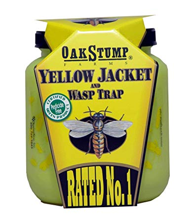 Springstar Yellow Jacket Trap