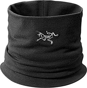 Arc'teryx Rho LTW Neck Gaiter