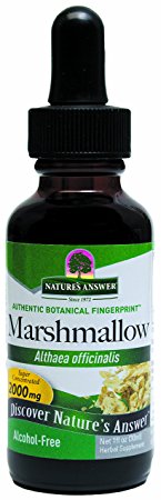 Nature's Answer Alcohol-Free Marshmallow Root, 1-Fluid Ounce