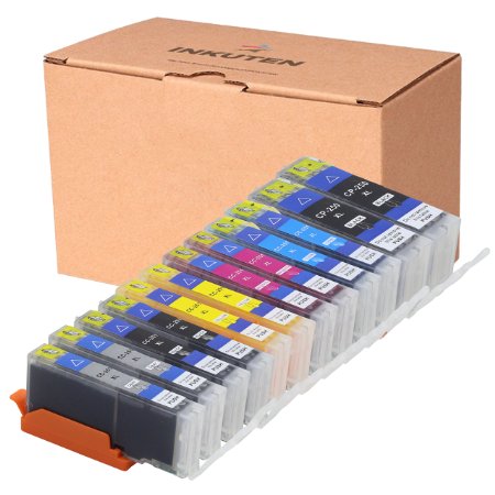 INKUTEN TM Compatible Ink Cartridge Replacement for Canon PGI-250XL CLI-251XL High Yield 2 large Black 2 Cyan 2 Magenta 2 Yellow 2 Small Black2 Grey - 12 Pack