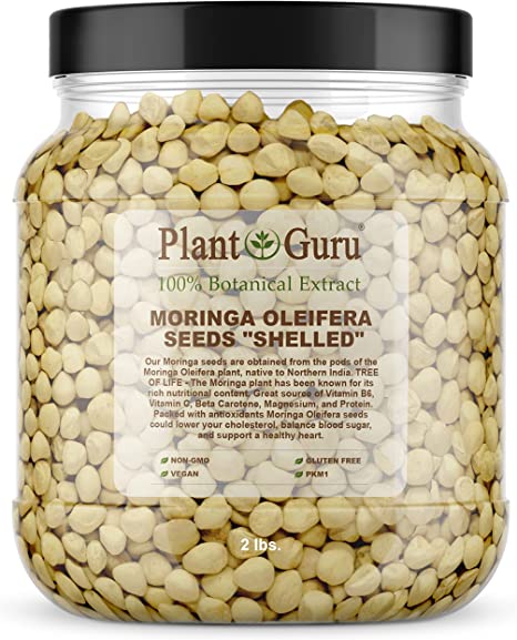 Moringa Seeds Kernel Shelled 2 lbs. Wide Mouth Jar - Clean PKM1 Variety - Edible - Moringa Oleifera - Malunggay - Semillas De Moringa - Drumstick Tree - Non-GMO - 4000 to 4800 Seeds Approx.