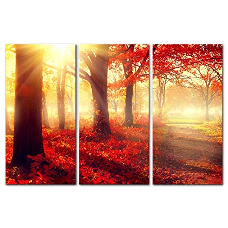 3 Pieces Modern Canvas Painting Wall Art The Picture For Home Decoration Autumn Fall Scene Beautiful Maple Trees And Leaves Foggy Forest In Sunny Rays Landscape Forest Print On Canvas Giclee Artwork For Wall Decor