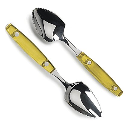 RSVP Endurance Stainless Steel and Yellow Grapefruit Spoon, Set of 2