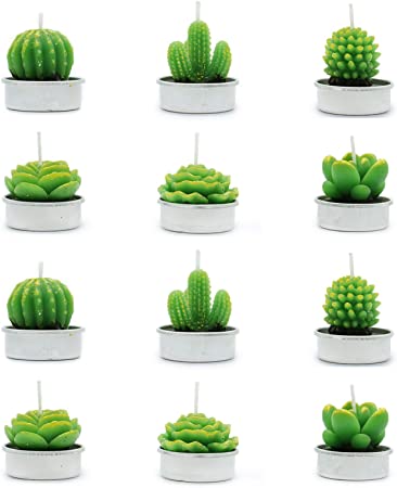 AQUEENLY Cactus Candles, 12 PCS Cactus Tealight Candles Succulent Plant Decor for Spa Birthday Party Home Decoration
