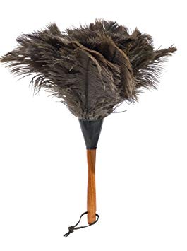 REDECKER Ostrich Feather Duster with Varnished Wooden Handle, Small, 13-3/4-Inches