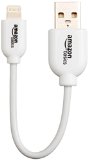 AmazonBasics Apple Certified Lightning to USB Cable - 4-Inches 10 Centimeters - White