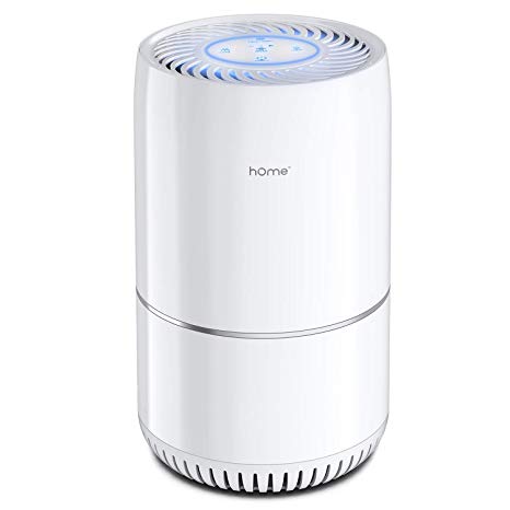 hOmeLabs Air Purifier for Home, Bedroom or Office - True HEPA H13 Filter to Remove Allergens Such as Mold, Dust, Dander - Pet Smell and Smoke Odor Eliminator - Night Light and Child Lock Function