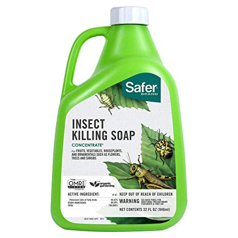 Safer Brand 5118 Insect Killing Soap Concentrate, 32-Ounce