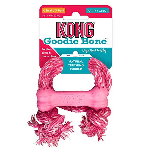 Kong Puppy Goodie Bone Treat Toy with Rope (X-Small)