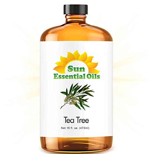 Tea Tree (Mega 16oz) Best Essential Oil