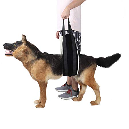HNYG Dog Lifting Harness Sling for Rear Legs, Dog Lifter, Pet Sling, Dog Leg Brace, Black