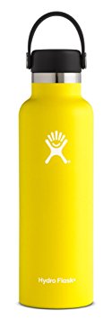 Hydro Flask Vacuum Insulated Stainless Steel Water Bottle, Standard Mouth w/Flex Cap