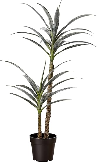 Amazon Basics Artificial Yucca Plant with Plastic Nursery Pot, 40-Inch