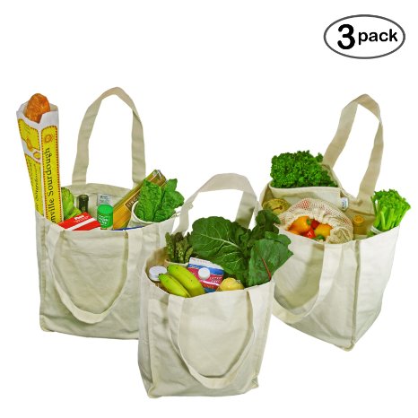 Simple Ecology Organic Cotton Deluxe Reusable Grocery Bag with Bottle Sleeves - Natural (3 Pack)